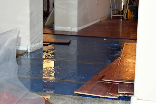 Professional Sewage Cleanup technician working in DeKalb, IL